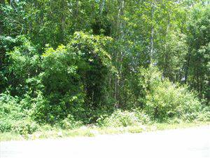 9995  Vacant Lot .37 Acres, not cleared, utilities in the street (Midland, Tacoma)