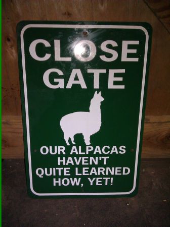A Alpaca Close Gate sign 12x14