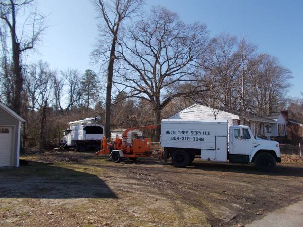 A PROFESSIONAL amp VA CERTIFIED TREE SERVICE FOR HIRE CALL M.B.T.S. (Surrounding Areas)