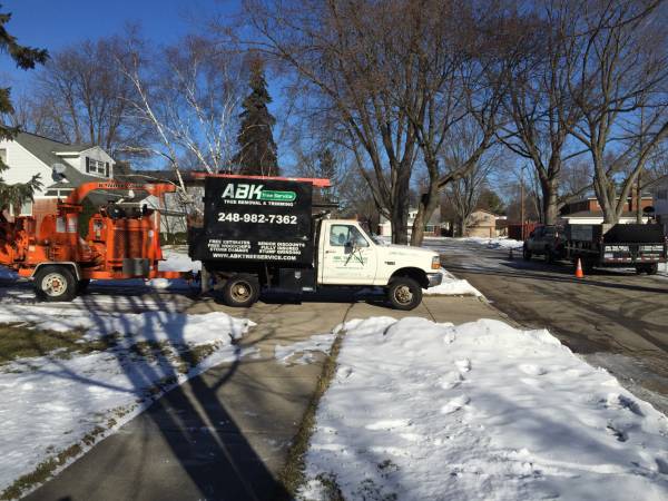 ABK TREE SERVICE spring specials (Oakland amp Macomb Counties)