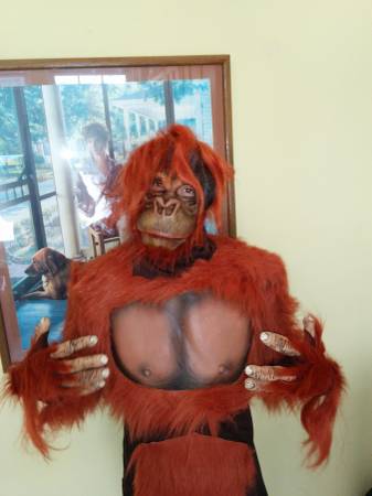 Actor Required for Funding Pitch for Orangutan Comedy Movie