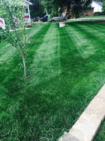 Advance lawn care call today great rates (Rtp)