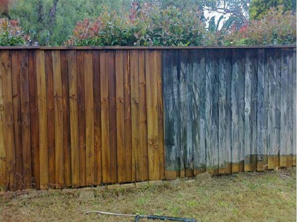 Affordable Fence Staining