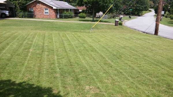 affordable lawn care (Columbus and surrounding areas)
