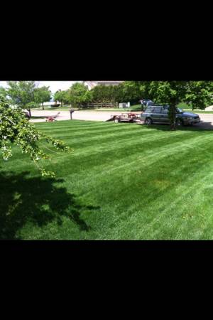 Affordable lawn mowinglawn care (Chittenden County)