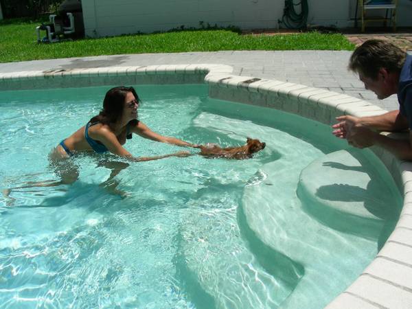 AFFORDABLESWIMMING POOL SERVICE AND REPAIR (ALL OF CENTRAL FLORIDA)