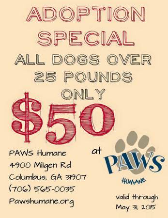 ALL dogs over 25 pounds only 50 to adopt from PAWS Humane (PAWS Humane)
