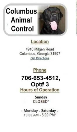 All lost pets will end up at Columbus Animal Control  (Columbus Animal Control 4910 Milgen Rd)