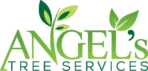Angels Lawn amp Tree Service (Silverlake)