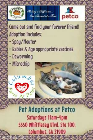 Animal Rescue Pet Adoptions at Petco every Saturday amp Sunday  (5550 Whittlesey Blvd 100, Columbus)