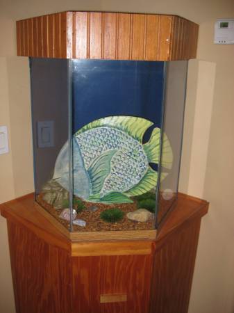 Aquarium (Apopka)