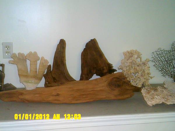 aquarium decor (warren)