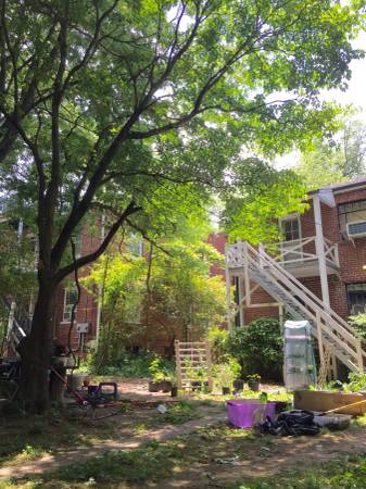 Arborist need for a few 2nd story branches