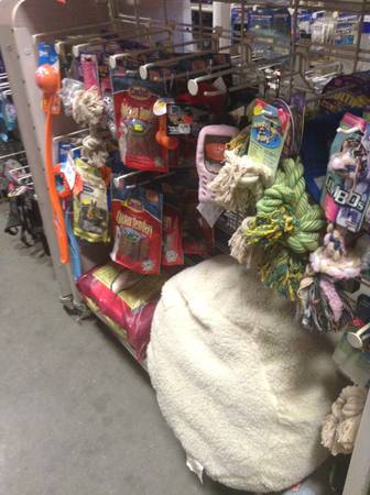 Assorted Dog Supplies