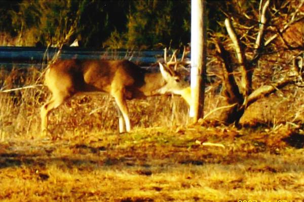 ATTENTION  Hunters, Farmers and People Seeking Privacy  ACREAGE (Hinton, Ok.)