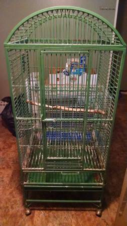 Avian Adventures Bird Cage (Portland)