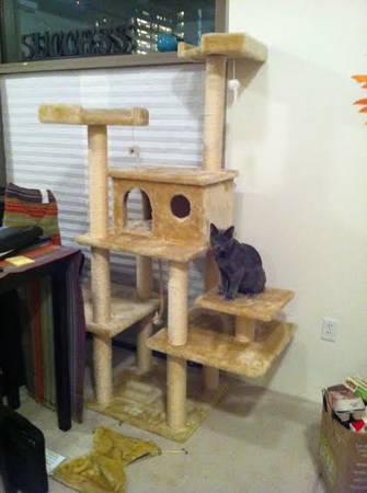 Awesome cat tree (Burbank)