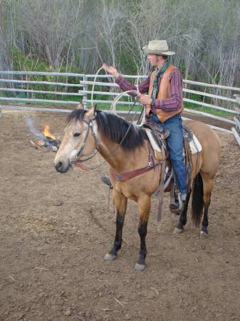 Awesome Grade buckskin gelding for sale (Corvallis MT)