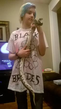 Ball Python for Experienced Handler (New Castle)