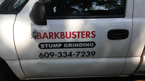 Barkbusters Stump Grinding