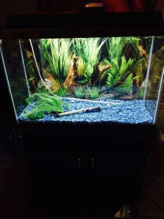 Basically new 45 gallon fish tank and stand Comes with everything all ready fo (Gurnee)