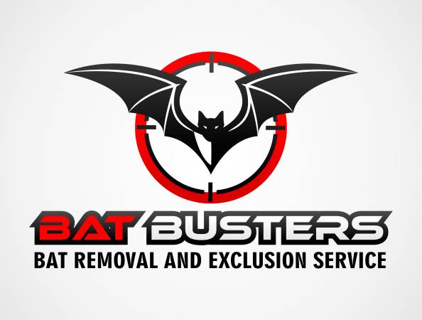 Bat Removal and Exclusion (Marshall)