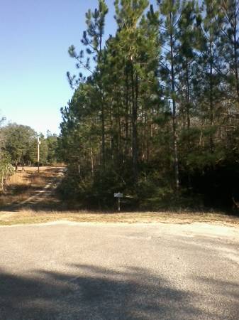 Beautiful 312 acres, dead end road OWNER FINANCING (Pass Christian)