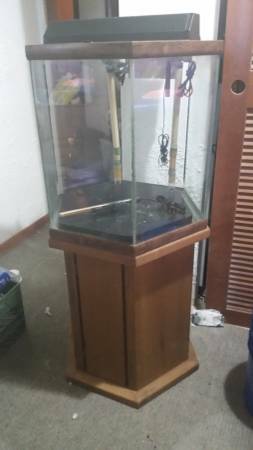 BEAUTIFUL 48 Gallon Hexagon Aquarium w Matching Stand Hood amp Light (Aurora)