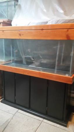 BEAUTIFUL 55 Gallon Aquarium w Matching 2