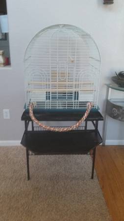 beautiful  bird cage and activity center