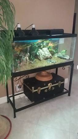 BEAUTIFUL Fish tank with stand