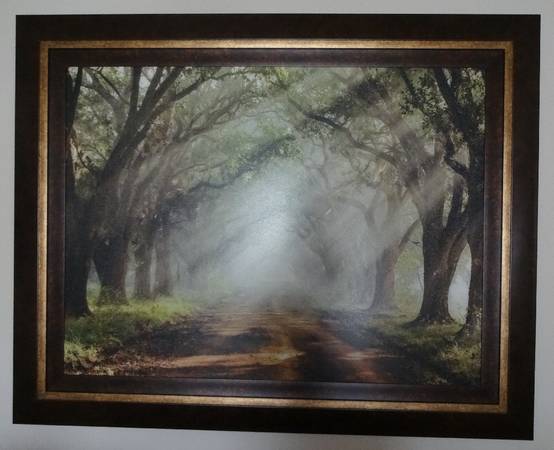 Beautiful Large Picture with Frame