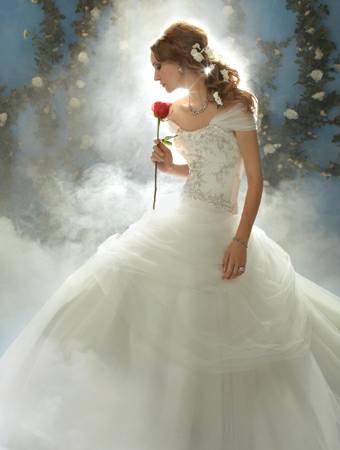 Belles Disney Princess Wedding Dress Style 206
