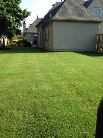 Best lawns in town (RogersBenonville)