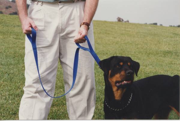 BIG DOG Leashes