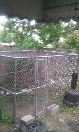 big nice dog cage (Hamilton ohio)