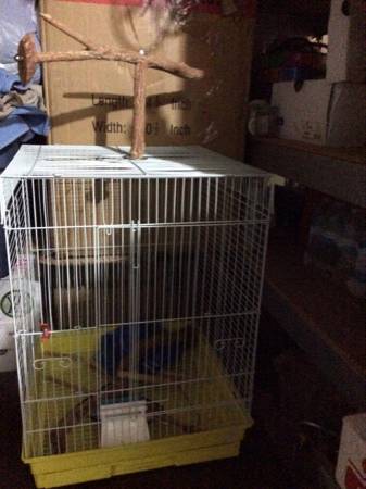 Bird Cage 20 (Coral Springs)