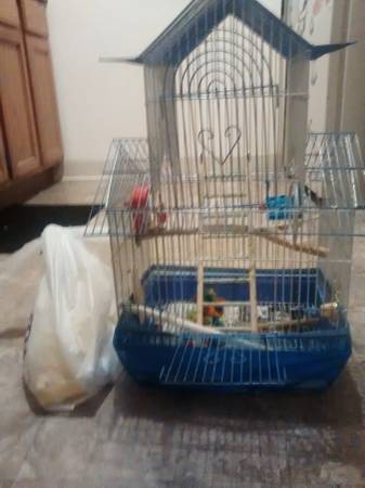 Bird cage w bag full of accessories (oak creek)