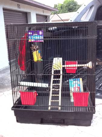 BIRD CAGE W NEW ACCESSORIES 25 (Lake County)