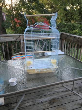 Bird gym and cage (Independence)