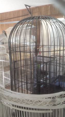 bird supplies cages, toys, accessories (Columbia)