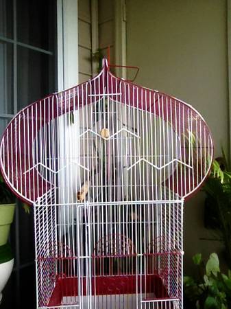Birdcage, Gothic style, Red and White (Rockville)