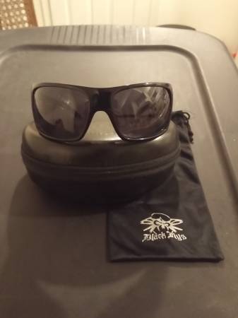 Black Flys sunglasses