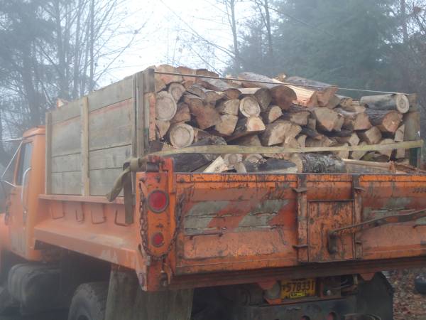 blowout summer sale cured hardwood firewood