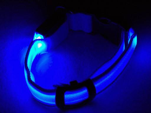 Blue LED Dog Collar (raleigh nc)