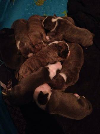 Blue pits (Slidell)