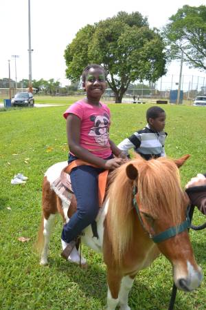 bounce house dj cotton candy for rent snowcone (broward country)