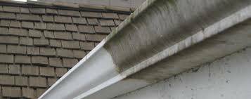 bowie gutter cleaning center (bowie ,crofton,md area)