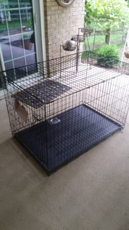 Brand new large dog crates 42x28x31 (Batavia)