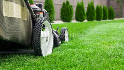 BroadRipple Lawn Care (Indianapolis)